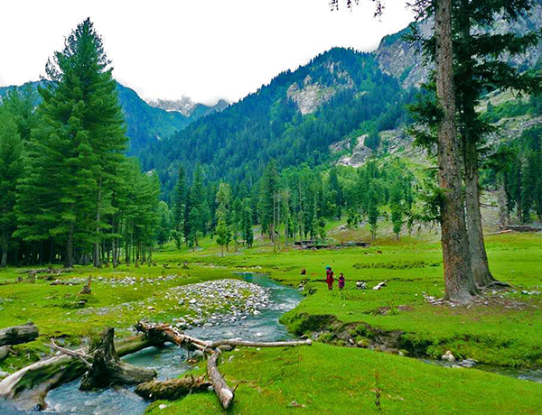Pakistan
